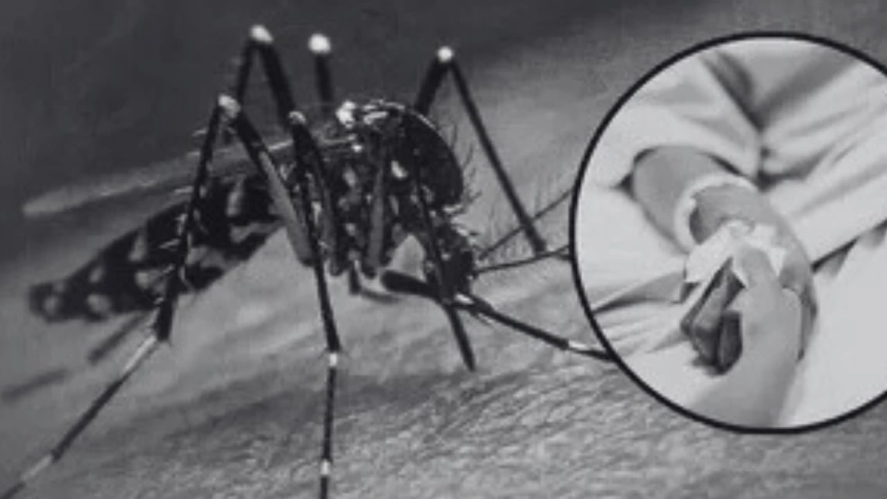 Dolor en Floridablanca: niña de 10 años murió al parecer a causa de dengue