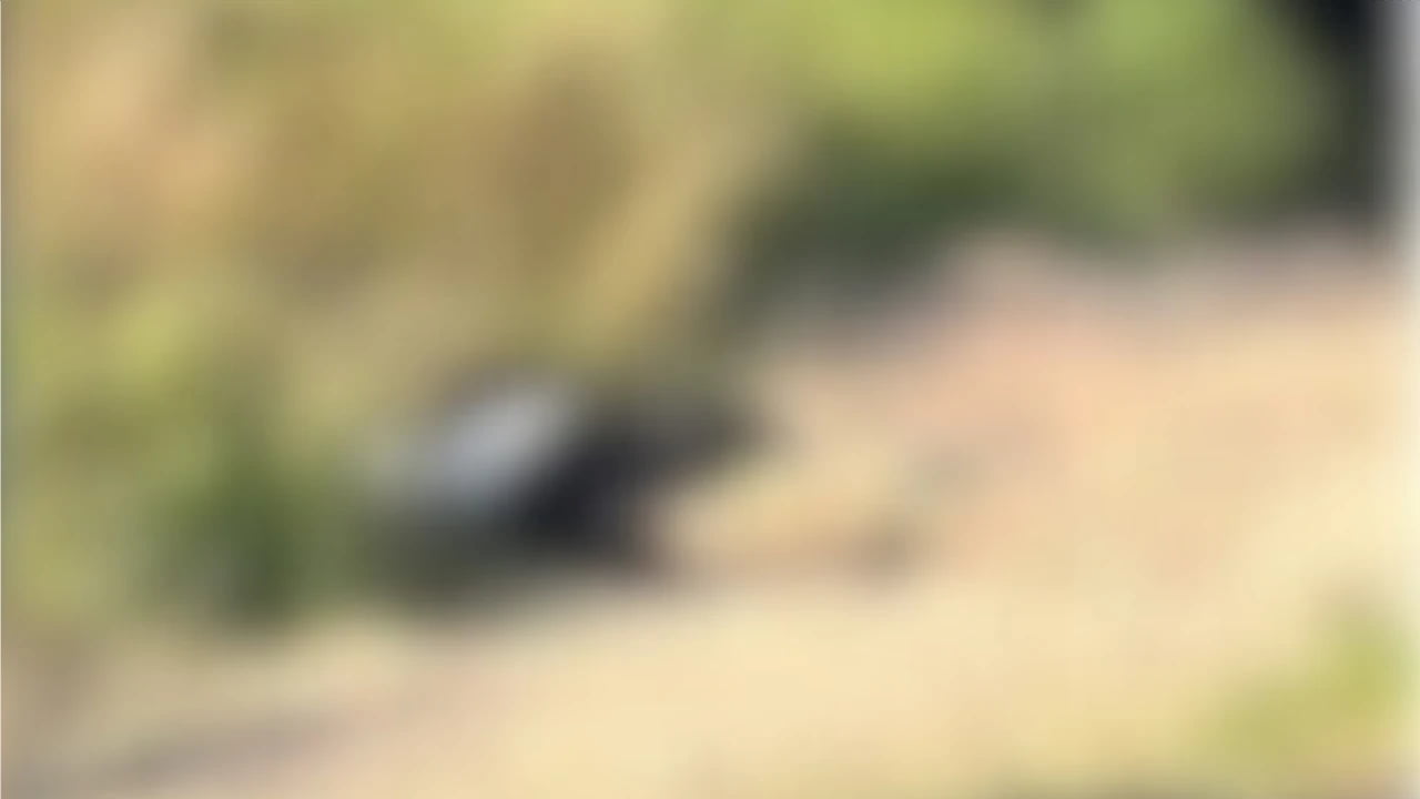 Joven apareció sin vida, con varios disparos cerca de la ladrillera