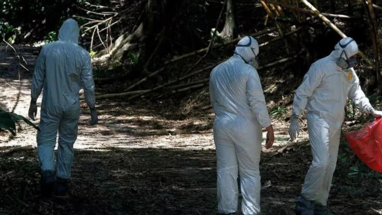 Aparece menor sin vida en zona rural de Santander y el hallazgo genera preocupación.