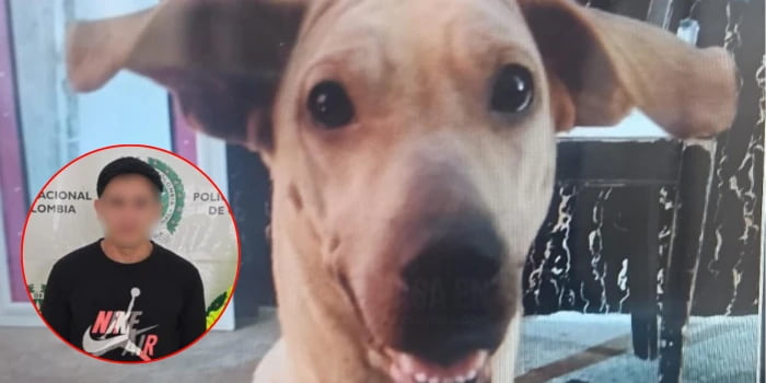 Ordenan envío a prisión de hombre señalado de causar la muerte Kira.