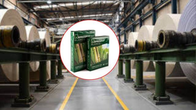 Cierra Propal: Colombia pierde a su principal productor de papel blanco