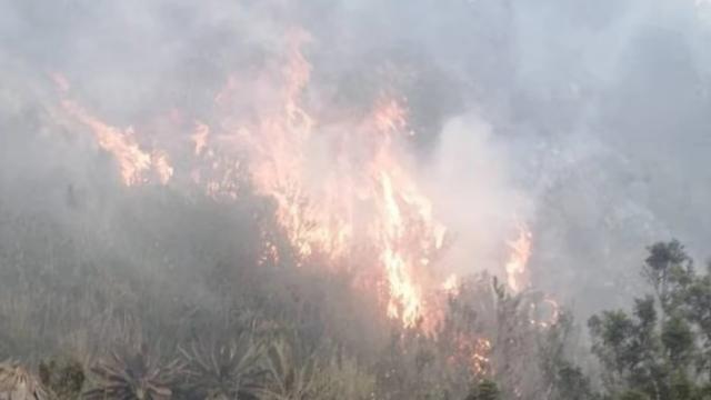 Incendio forestal en el Páramo el Almorzadero consumió cerca de 20mil metros de vegetación nativa