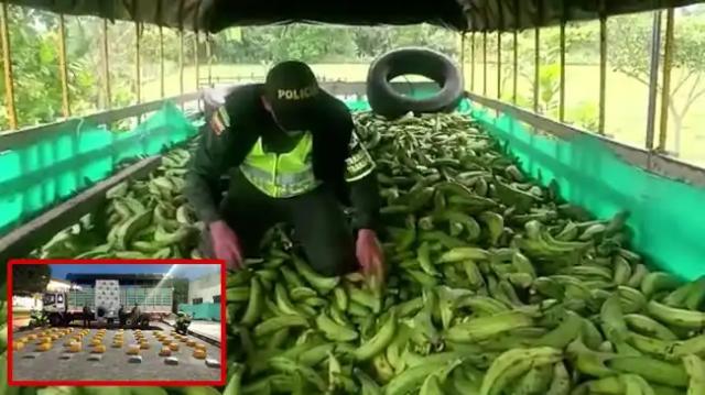 Cargamento de plátano fue descubierto con  245.200 gramos de estupefaciente.