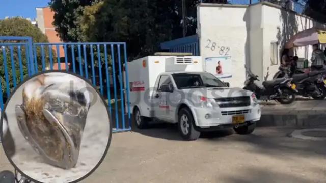 Una patada de un caballo acabo con la vida de don Elicerio en Santander
