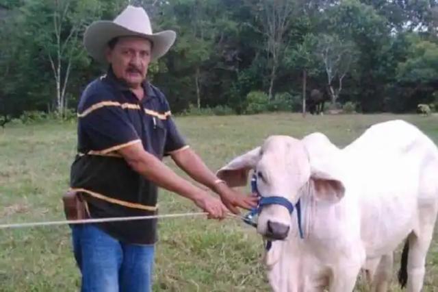 Ganadero en Santander murió tras ser embestido por un toro