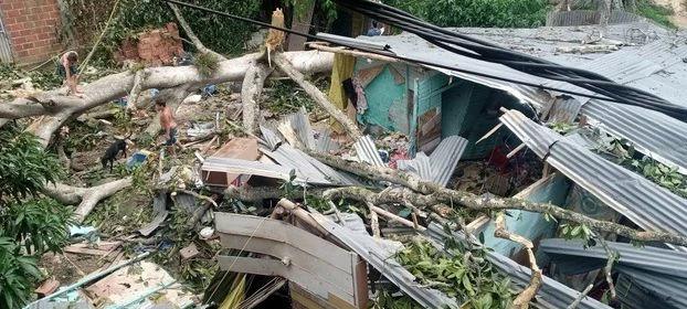 Caída de árbol dejo dos personas heridas en Asomiflor