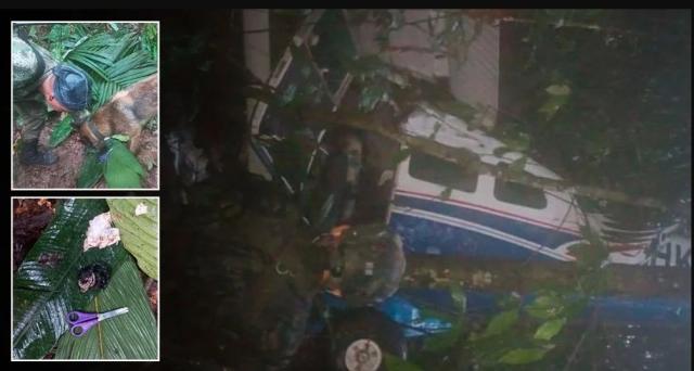 Encuentran con vida los cuatro niños desaparecidos en el Guaviare