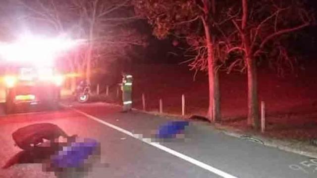 Dos personas fallecen al ser arrolladas por un Vehículo fantasma