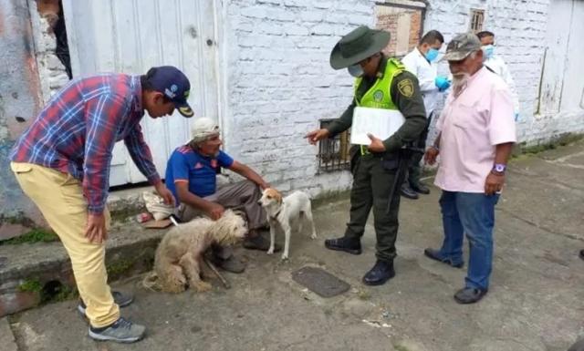 Fiscalía judicializó a hombre señalado de envenenar a 10 perros por el pago del arriendo