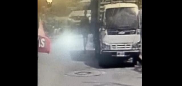 Video: camioneta embistió a perrita y horas mas tarde murió en Floridablanca