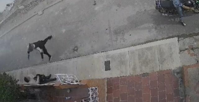 Video: En la puerta su casa hombre fue víctima de delincuentes armados