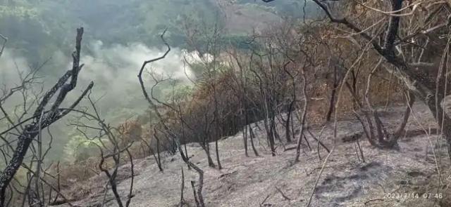 La CDMB alerta sobre amenaza alta de incendios forestales en el área metropolitana de Bucaramanga