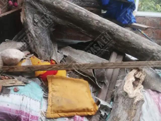 A una mujer le cayó un cedro en la cama mientras dormía en Bucaramanga.