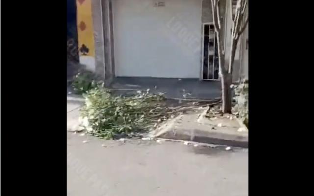 Video: Ciclista omitió el pare y colisiono con motociclista que milagrosamente se salvo en San Francisco