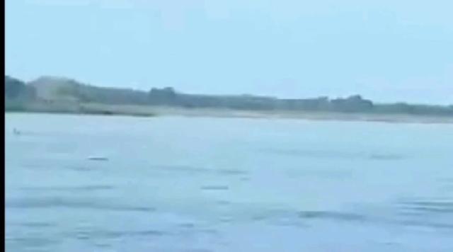 Video: Así fue el momento en el que unas personas cayeron al río Magdalena