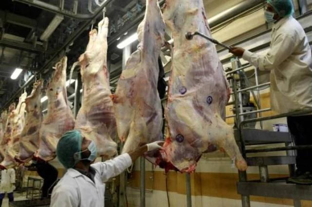 Plantas de beneficio animal en Santander podrían funcionar nuevamente