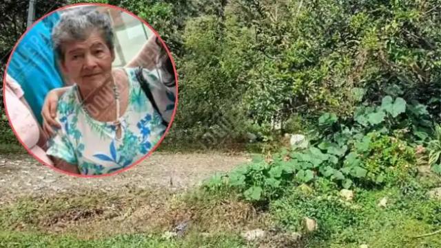 Una persona muerta y otra lesionada dejó picadura de abejas en Santander