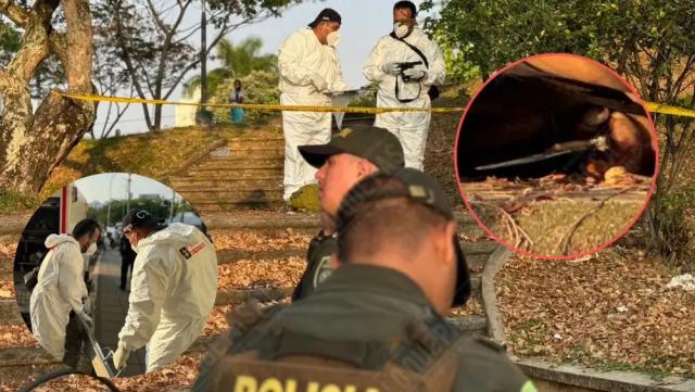 Vidal, el habitante de calle que fue asesinado en el sector del puente de Provenza