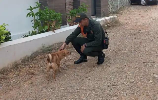Atrocidad en Barrancabermeja: Autoridades prometen captura del responsable del brutal acto contra un perro