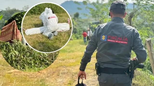 Murió un hombre cuando un árbol talado le cayó encima en Lebrija