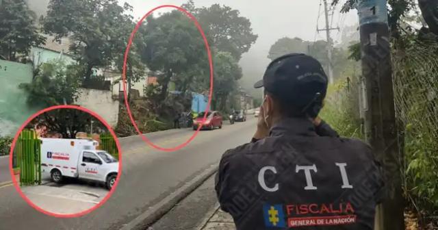 Tragedia en Villa Mercedes: Hombre muere tras caer de un árbol mientras recolectaba frutos