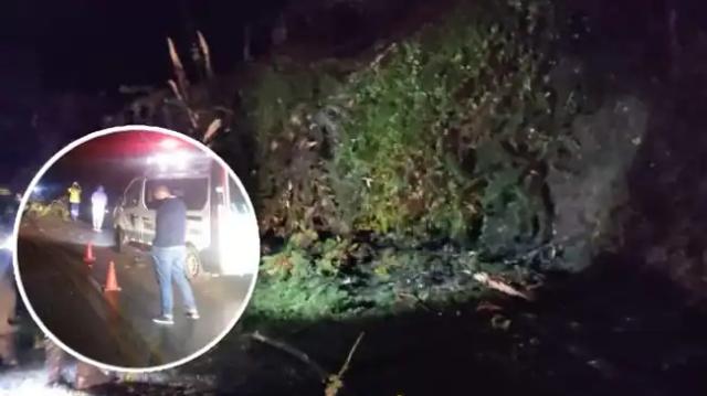 Un árbol cayó encima de un motociclista y le provocó la muerte en la vía Pamplona - Bucaramanga
