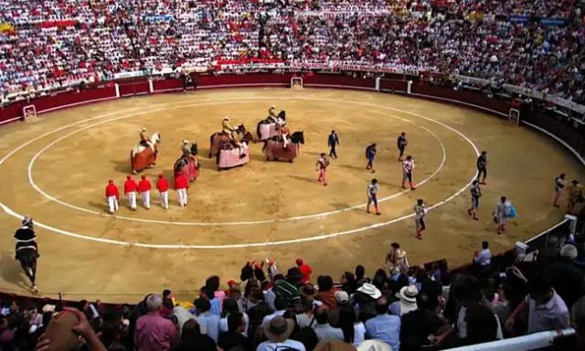 Adiós Sangre y Arena: Colombia Dice NO a las Corridas de Toros