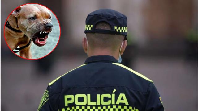Policías mataron a tiros a dos perros pitbull, en Bogotá