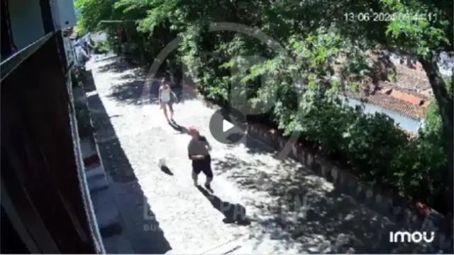Mujer Evita Ataque de un Hombre con la Ayuda de su Perro en Girón: Comunidad Alarmada