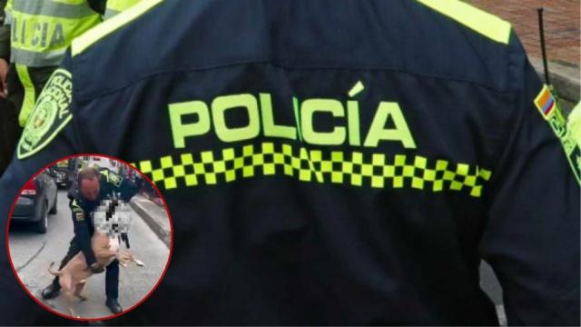 Video: Policía en Manizales mató a un perro de raza peligrosa durante un procedimiento, la dueña del can explica la caótica situación.