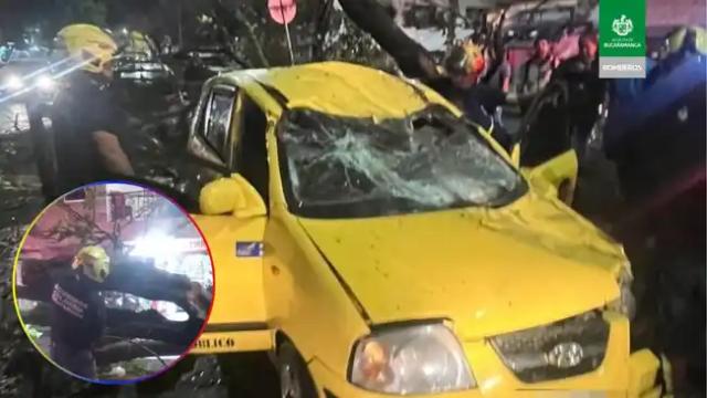 Taxista herido y dos vehículos afectados dejó la caída de un árbol en la 45