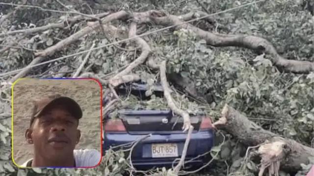 Conductor murió electrocutado tras caída de árbol sobre su vehículo