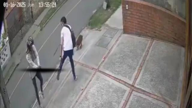 Violento robo en Bogotá: joven es baleado mientras paseaba a su mascota