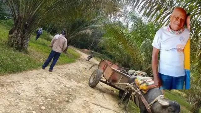 José de 80 años estaba desaparecido y fue hallado sin vida, buscaba una flor