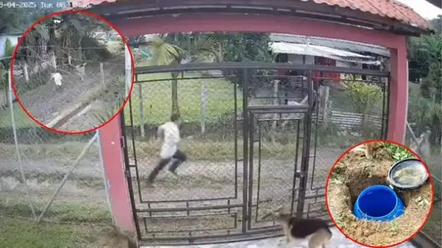 Video: Pastor fue capturado por abusar de su hijastra de 13 años, comunidad lo busco hasta encontrarlo