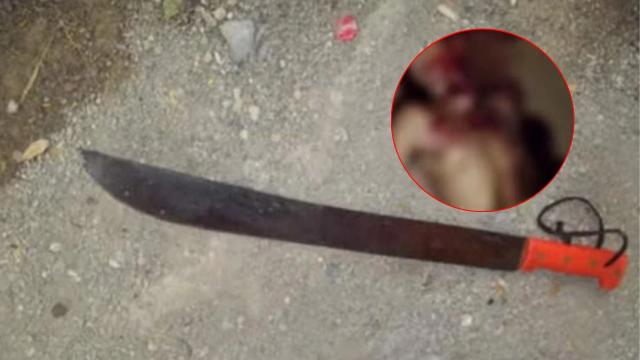 Hijo mató a machetazos a su padre durante una fiesta familiar