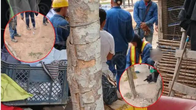 Video: Perrito salvó a dos mujeres de ataque con cuchillo en Girón. Lo mordió y lo hizo caer