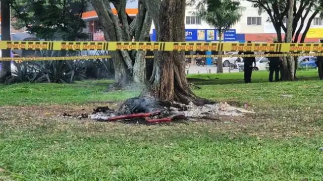 Macabro hallazgo: Encuentran cuerpo calcinado atado a un árbol en vía pública