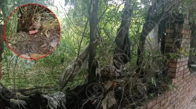Cuerpo sin vida y en avanzado estado de descomposición fue hallado cerca al Cai Níza