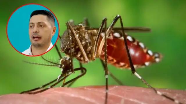Se confirma caso de fiebre amarilla en Santander: paciente procedente de Arauca está bajo vigilancia