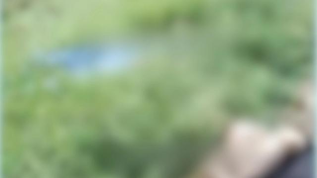 Tragedia: Encuentran dos hombres sin vida y amarrados en vía rural