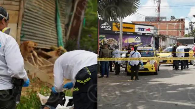 Alarmante: 12 asesinatos en una semana en el área metropolitana