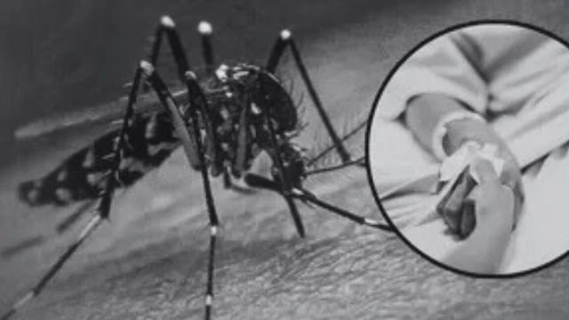 Dolor en Floridablanca: niña de 10 años murió al parecer a causa de dengue