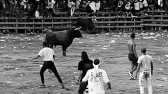 Tragedia en corraleja: feroz ataque de toro dejó un muerto