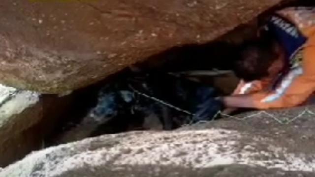 Defensa Civil rescató a perro herido tras días atrapado en cueva, Piedecuesta