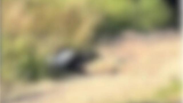 Joven apareció sin vida, con varios disparos cerca de la ladrillera