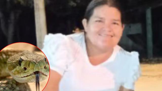 Mujer murió por mordedura de serpiente en una vereda de Santander