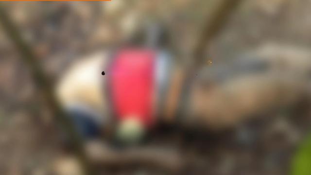 Hallan cadáver en estado de descomposición en zona boscosa de Santander