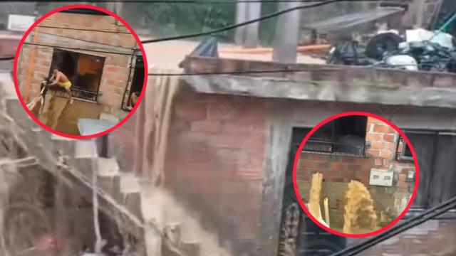 Video: A pesar de que el agua entraba a las casas, habitantes arriesgaron todo para rescatar a sus mascotas.