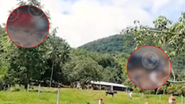 VIDEO: Doble homicidio en zona rural de Santander genera incertidumbre, Autoridades investigan.
